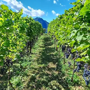  Alloggio per agriturismo Cascina Teresina